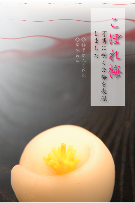 上生菓子-御菓子司きくもとや