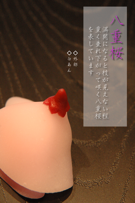 上生菓子-御菓子司きくもとや