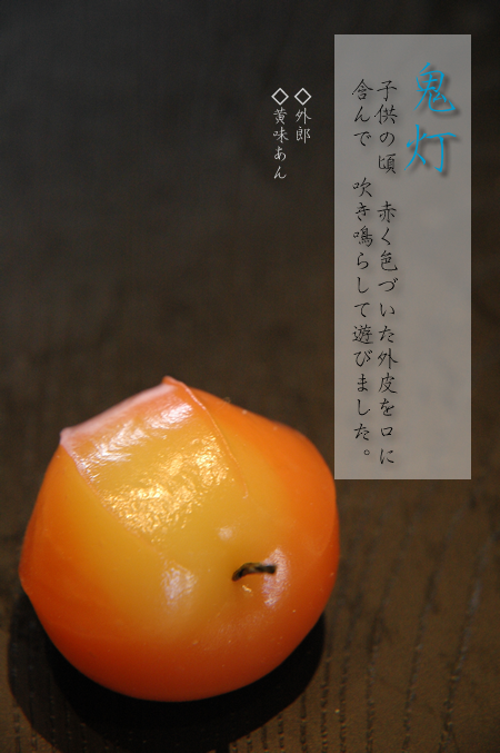 上生菓子-御菓子司きくもとや