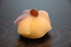 上生菓子-御菓子司きくもとや