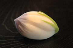 上生菓子-御菓子司きくもとや